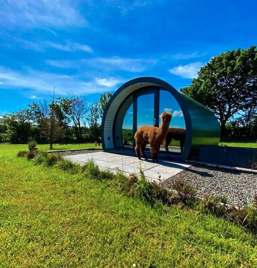 Black Knowe, Luxury Glamping Pods, Ballycastle Exterior photo